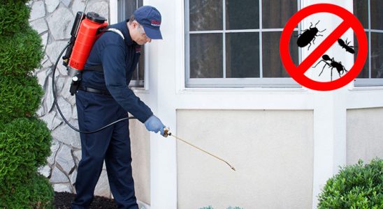 Hisarcık Fare İlaçlama böcek ilaçlama ve haşere kontrolü — ilaclama-tr.com
